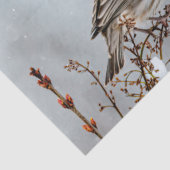 Papier Mousseline Maison Finch en Neige - Photo originale (Détail)