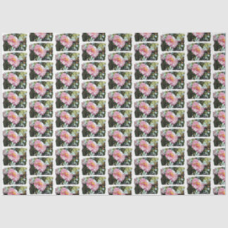 Papier Mousseline Maisy en rose