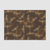 Papier Mousseline Majestueux (Recto)