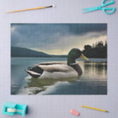 Papier Mousseline Mallard Duck (Artisanat)