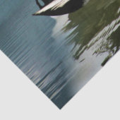 Papier Mousseline Mallard Duck (Détail)