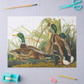 Papier Mousseline Mallard Duck par John James Audubon (Artisanat)