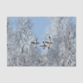 Papier Mousseline Mallard Ducks Flying Snow Photo (Recto)