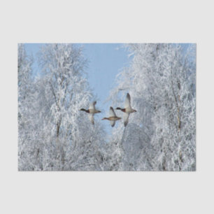 Papier Mousseline Mallard Ducks Flying Snow Photo