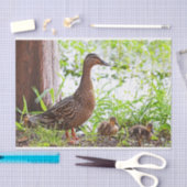 Papier Mousseline Mallard et Ducklings par Shirley Taylor (Artisanat)