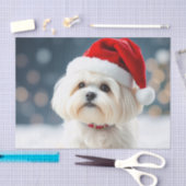 Papier Mousseline Maltese Tissue Paper (Artisanat)