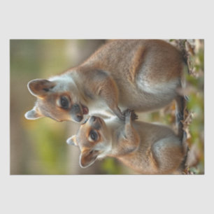 Papier Mousseline Mama Et Bébé Quokka Leçons De Vie,