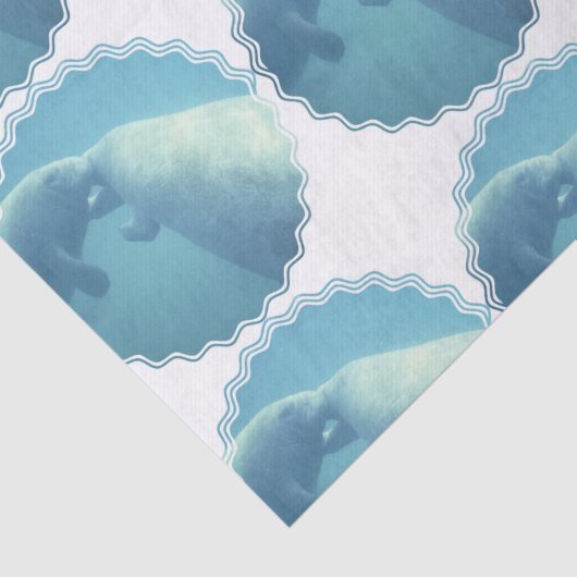 Papier Mousseline manatee-9 (Détail)