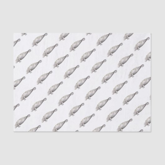 Papier Mousseline Manati (Recto)