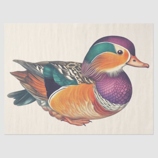 Papier Mousseline Mandarin Canard Aquarelle Découpage Oiseau Art (Recto)
