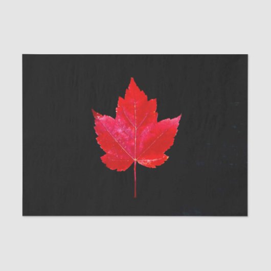 Papier Mousseline Maple Leaf Red Black Pays d'automne (Recto)