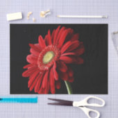 Papier Mousseline Marguerite de Gerbera (Artisanat)