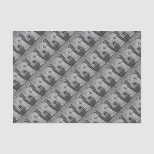 Papier Mousseline Mariage de chat (Recto)