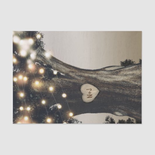 Papier Mousseline Mariage de grange moderne aux arbres et lumières d (Recto)