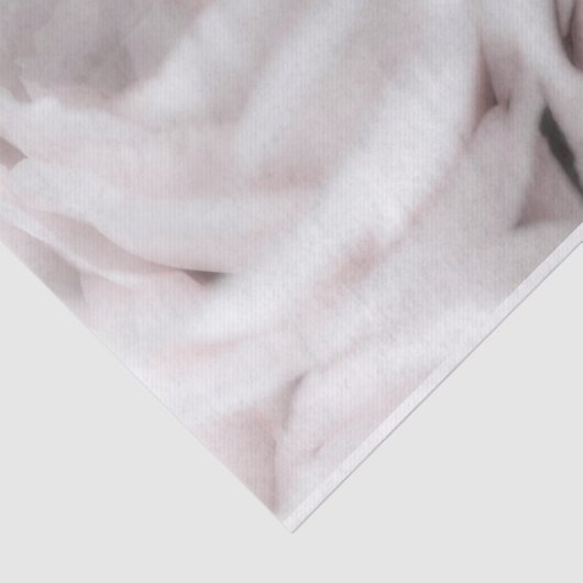 Papier Mousseline Mariage minimal Élégant Roses blancs (Détail)