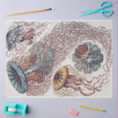 Papier Mousseline Marine Life Jellyfish - Découpage Ernst Haeckel (Artisanat)