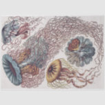 Papier Mousseline Marine Life Jellyfish - Découpage Ernst Haeckel<br><div class="desc">Discomedusae-Scheibenquallen de Kunstformen der Natur (1904) par Ernst Haeckel (1843-1919), zoologue allemand, naturaliste, professeur et biologiste marin. Original de la Bibliothèque du Congrès. Les formes géométriques et naturelles, capturées avec une précision exceptionnelle. L’impression de Haeckel dépeint le Discomedusae, une sous-classe de méduses. Les images du centre et du centre inférieur...</div>