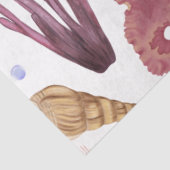 Papier Mousseline Marine Life Series Design 23 Tissue Paper (Détail)