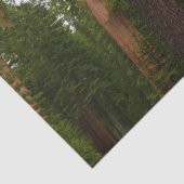 Papier Mousseline Mariposa Grove dans le parc national de Yosemite (Détail)