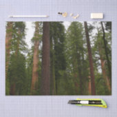 Papier Mousseline Mariposa Grove dans le parc national de Yosemite (Artisanat)