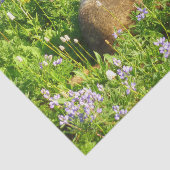 Papier Mousseline Marmot dans le Mont Rainier Fleurs sauvages (Détail)