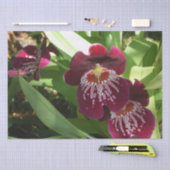 Papier Mousseline Maroon Orchids II (Artisanat)