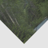 Papier Mousseline McDonald Creek au parc national des Glaciers (Détail)