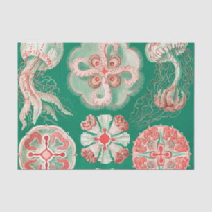 Papier Mousseline Méduse, Discomedusae par Ernst Haeckel