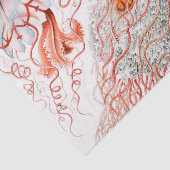 Papier Mousseline Méduse, Discomedusae par Ernst Haeckel (Détail)