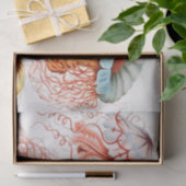 Papier Mousseline Méduse, Discomedusae par Ernst Haeckel (Cadeau)