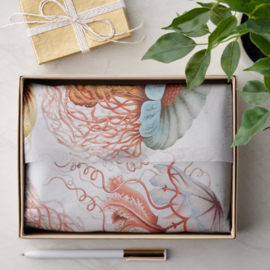 Papier Mousseline Méduse, Discomedusae par Ernst Haeckel (Cadeau)