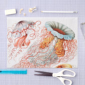 Papier Mousseline Méduse, Discomedusae par Ernst Haeckel (Artisanat)