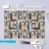 Papier Mousseline Meerkat (Artisanat)