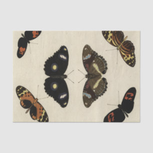 Papier Mousseline Mélange coloré de papillon sur l'arrière - plan