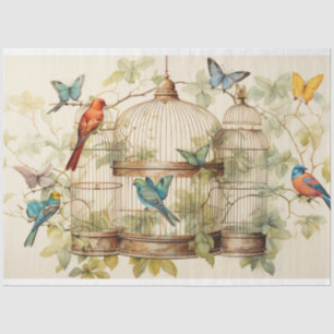Papier Mousseline Melodies sereines : Découpage de cage d'oiseaux