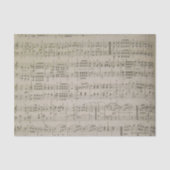 Papier Mousseline Menuetto (Recto)