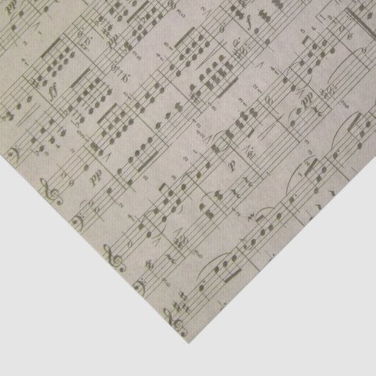 Papier Mousseline Menuetto (Détail)