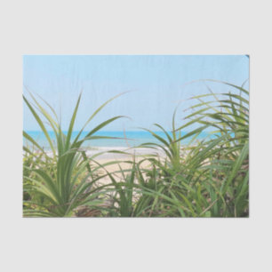 Papier Mousseline mer, plage, palme, nature, été, arbre, tropical,