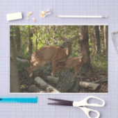 Papier Mousseline Mère et bébé cerf au Parc national de Shenandoah (Artisanat)