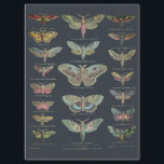 PAPIER MOUSSELINE MÈRES LA NUIT<br><div class="desc">Des illustrations colorées de la plaquette de sciences naturelles antiques sur fond sombre. Voir la collection SalvageScapes APOTHECARY & OLD NATURAL SCIENCE pour des modèles antiques et vintages similaires.</div>