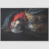 Papier Mousseline Meubles de pirate de perroquet d'oiseau de vin déc (Recto)