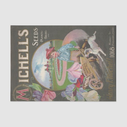 Papier Mousseline Michell's Mammoth Sweet Peas, 1904, Catalogue des  (Recto)