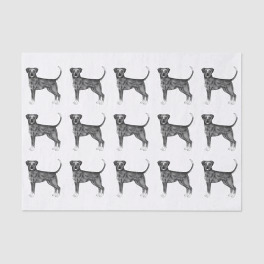 Papier Mousseline Mignonne Motif D'Un Chien De Boxer En Noir Et Blan (Recto)