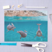 Papier Mousseline Mignonne Océan Dolphin Lover Vie marine Océan (Artisanat)