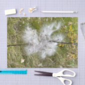 Papier Mousseline Milkweed | Papillon | (Artisanat)