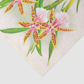Papier Mousseline Miltonia Blunti (orchidée) par Jean Jules Linden (Détail)