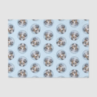 Miniature American Shepherd Peinture MAS Chien Art