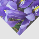 Papier Mousseline Miniature Bleu Irises Printemps Floral (Détail)