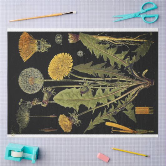 Papier Mousseline Mobilier Dandilion foncé Découpage Papier (Artisanat)