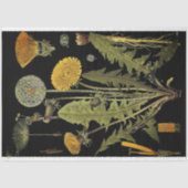 Papier Mousseline Mobilier Dandilion foncé Découpage Papier (Recto)